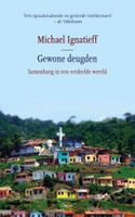 Gewone deugden - Michael Ignatieff - ebook