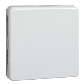 Schneider Electric 233604 accessoire elektrische schakelaar Sleutel