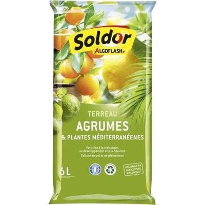 ALGOFLASH - Citrus en Mediterrane Plantaarde 6 L