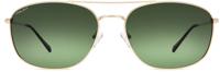 Polar zonnebril Aviator 673 gepolariseerd Cat. 4 groen/goud