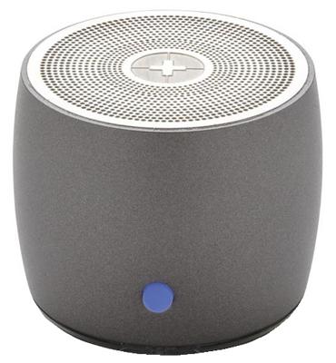 Swiss Peak speaker bluetooth 4,8 cm RVS grijs 2 delig Swiss Peak speaker bluetooth 4,8 cm RVS grijs 2 delig