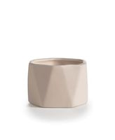 Illume Dylan Ceramic Coconut Milk Mango