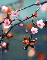 Notitieboek Cherry Blossom - thumbnail