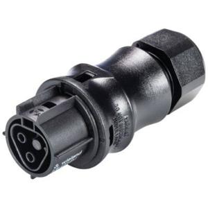 Wieland Electric 96.021.4053.1 Ronde connector Koppeling, recht Totaal aantal polen: 2 Serie (ronde connectoren): RST® CLASSIC 1 stuk(s)