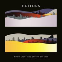 In This Light And On This Evening - LP (5413356518511)