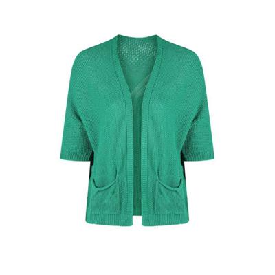 Paprika gebreid vest groen