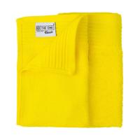 2-PACK: Gastendoekjes Classic - 30 x 50 cm