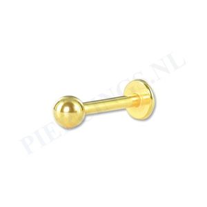 Labret 1.6 mm goudkleurig 8 mm