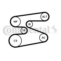 Poly V-riem set CONTINENTAL CTAM, u.a. für BMW, Alpina