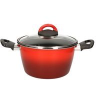 Rvs rode kookpan/pan met glazen deksel 20 cm 6 liter