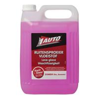 Pro+ Ruitensproeier / Ruitschoon zomer kant & klaar 5 liter