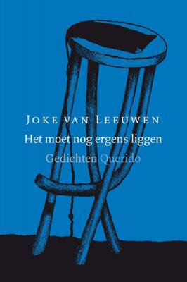 Joke van Leeuwen Het moet nog ergens liggen