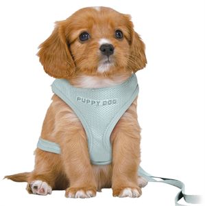 TRIXIE HONDENTUIG JUNIOR PUPPY SOFTTUIG MET RIEM MINTGROEN 36-50X1 CM / 2 MTR