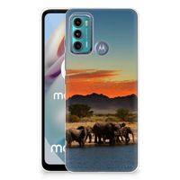 Motorola Moto G60 TPU Hoesje Olifanten