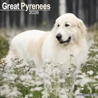 Great Pyrenees Calendar 2026 Square Dog Breed Wall Calendar - 16 Month