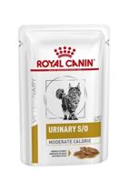 Royal Canin Feed 12 x 85 g