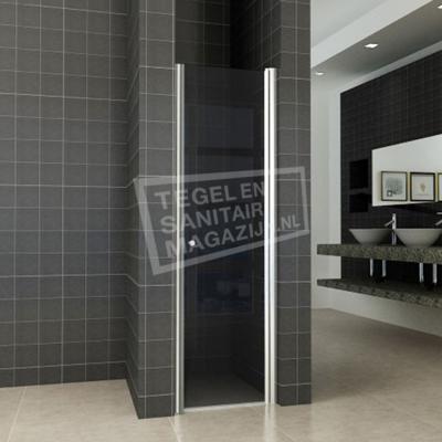 Wiesbaden Kreuz Nisdeur met profiel 60x202 NANO rookglas Wiesbaden Kreuz Nisdeur met profiel 60x202 NANO rookglas