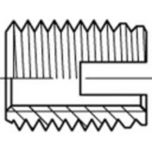 Alstertaler Schrauben & Präzisionsteile 1070023 Schroefdraad inzet M3 6 mm 50 stuk(s)