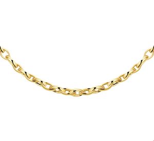 TFT Collier Geelgoud Anker 4,5 mm x 45 cm