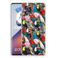 Motorola Edge 30 Fusion TPU Hoesje Birds