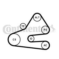 Poly V-riem set CONTINENTAL CTAM, u.a. für VW, Audi - thumbnail