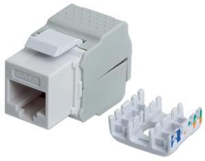 Intellinet 167062 RJ45-inbouwmodule Keystone CAT 5e, CAT 6