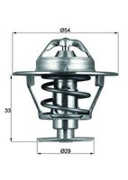 Thermostaat, koelvloeistof TX8676D