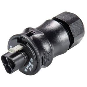 Wieland Electric 96.032.0053.1 Ronde connector Stekker, recht Totaal aantal polen: 3 1 stuk(s)