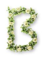 Basil Bloemenstreng Flower Garland met rozen 120 cm wit