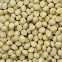 Macadamia noten ongebrand 300 gram navul