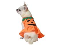 Atosa pompoenkostuum, oranje, voor huisdieren, betoverend en feestelijk, feesten, Halloween, geest, levendig seizoen, mooi design