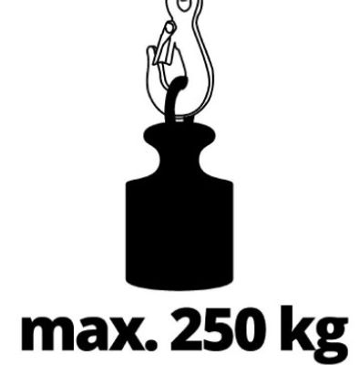 Einhell 2255130 Elektrische kabeltakel Draagkracht (met keerschijf) 250 kg Draagkracht (zonder keerschijf) 125 kg