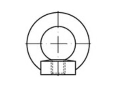 TOOLCRAFT 109445 Ringmoeren M20 DIN 582 Staal Galvanisch verzinkt 1 stuk(s)