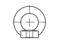 TOOLCRAFT 109445 Ringmoeren M20 DIN 582 Staal Galvanisch verzinkt 1 stuk(s)