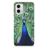 Motorola Moto G73 TPU Hoesje Pauw