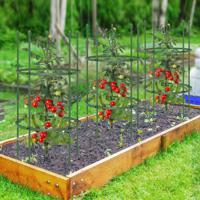 Set van 3 Obelisk Tuinprieeltjes voor Planten Verstelbare Metalen Steun voor Klimplanten met Clips voor Wijnstokken Bloemen Groenten