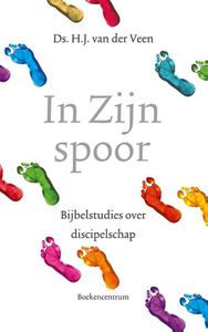 In zijn spoor - H.J. van der Veen - ebook