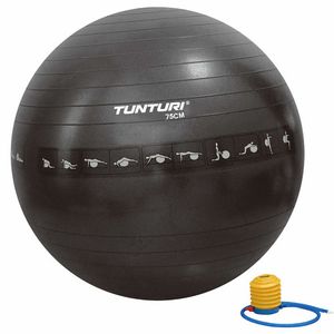 Tunturi 14TUSFU288 gymnastiekbal 75 cm Zwart Volledige grootte