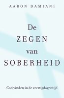 De zegen van soberheid - Aaron Damiani - ebook - thumbnail