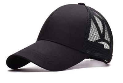 High ponytail pet High ponytail pet