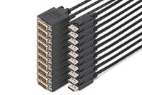 DIGITUS DisplayPort-adapterkabel - DP naar DVI-D (24 + 1) - 2,0m - 10 stuks - Full HD 1080p/60Hz - Zwart
