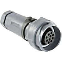 Bulgin PXP7011/02P/ST/1113 Ronde connector Stekker, recht Totaal aantal polen: 2 Serie (ronde connectors): Buccaneer 7000 1 stuk(s)