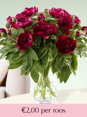 102 t/m 500 rode pioenrozen | Rozen online bestellen & versturen | Surprose.nl 102 t/m 500 rode pioenrozen | Rozen online bestellen & versturen | Surprose.nl