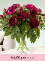 102 t/m 500 rode pioenrozen | Rozen online bestellen & versturen | Surprose.nl