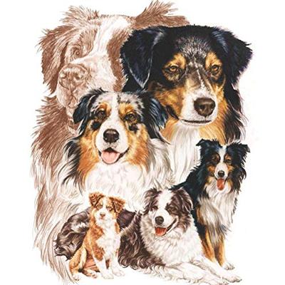 Rysmliuhan Shop 5D Diamond Art 5D Diamond Art Kit DIY Diamond Painting Kits 5D Diamant Schilderen 5D Diamant Schilderen Kits Diamond Art Volledige Diamond Painting Kit c