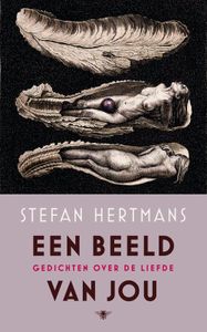 Een beeld van jou - Stefan Hertmans - ebook