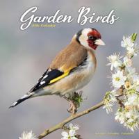 Garden Birds Calendar 2026 Square Birds Wall Calendar - 16 Month