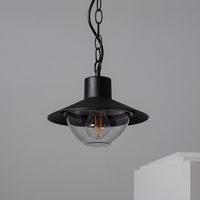 Hanglamp binnen buiten 'Navi' e27 fitting zwart glas modern plafondlamp 240mm