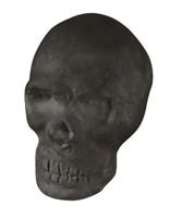 Moses gum piratenschedel 5 cm zwart