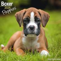 Boxer Puppies Calendar 2026 Square Dog Puppy Breed Wall Calendar - 16 Month